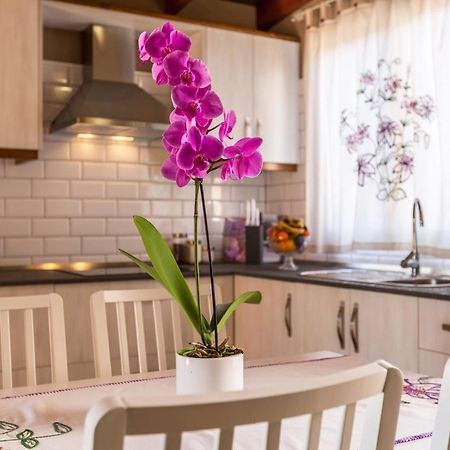 Casa Quintana - Apartamento Carla Tijarafe Eksteriør bilde